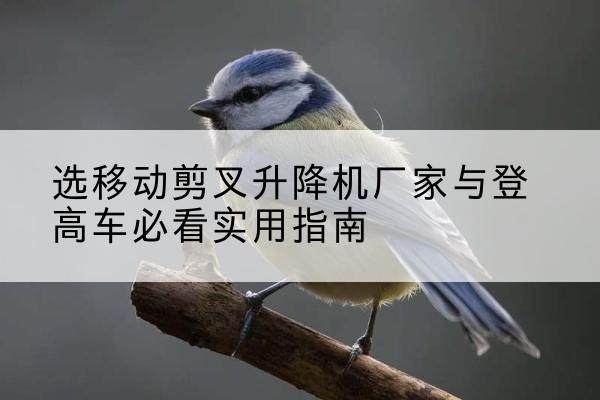崇州电动升降机厂家-选移动剪叉升降机厂家与登高车必看实用指南