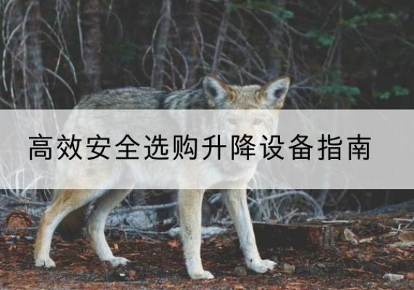 崇州升降货梯厂家推荐-*安全选购升降设备指南