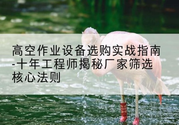 崇州剪叉式升降机厂家-高空作业设备选购实战指南-十年工程师揭秘厂家筛选核心法则